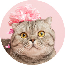 誕生日を迎えたまる